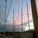 IMG_6401 IMG_6401