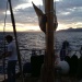IMG_3476 IMG_3476