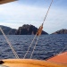 IMG_3478 IMG_3478