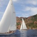 IMG_3502 IMG_3502