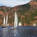 IMG_3509 IMG_3509