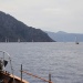 IMG_3533 IMG_3533
