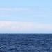 IMG_3559