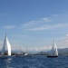 IMG_b3743 IMG_b3743