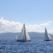 IMG_b3803 IMG_b3803