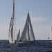 IMG_b4309 IMG_b4309