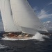 IMG_b4391 IMG_b4391