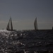 IMG_b4422 IMG_b4422
