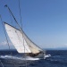 SY Vistona CC 2021 photo Thibaud Assante DR