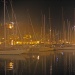 IMG_b6359