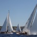 IMG_b6881 IMG_b6881