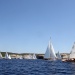 IMG_b6883 IMG_b6883