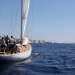 IMG_b6963 IMG_b6963