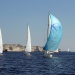 IMG_b6973 IMG_b6973