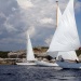 IMG_b6982 IMG_b6982