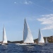 IMG_b6985 IMG_b6985