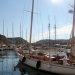 IMG_b7039 IMG_b7039