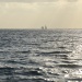 Corsica_Classic_149
