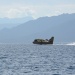 Corsica_Classic_204