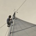 Corsica_Classic_446