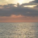 Corsica_Classic_521