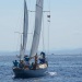 Corsica_Classic_611