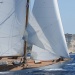 Corsica_Classic_640
