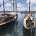 SY Cambria Imperia 2022 photo Thibaud Assante x James Robinson Taylor (109)