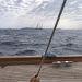 SY Cambria RR 2022 photo Thibaud Assante DR (48)