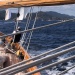 SY Cambria RR 2022 photo Thibaud Assante DR (164)