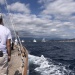 SY Cambria RR 2022 photo Thibaud Assante DR (178)