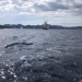 SY Cambria RR 2022 photo Thibaud Assante DR (418)