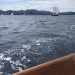 SY Cambria RR 2022 photo Thibaud Assante DR (419)