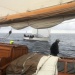 SY Cambria RR 2022 photo Thibaud Assante DR (523)