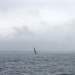 SY Cambria RR 2022 photo Thibaud Assante DR (531)