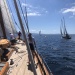 CC 2022 Ajaccio mercredi 24 aout Trophée de la Ville x Regates Rose photo Thibaud Assante DR  (41)