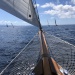 CC 2022 Ajaccio mercredi 24 aout Trophée de la Ville x Regates Rose photo Thibaud Assante DR  (57)
