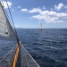 CC 2022 Ajaccio mercredi 24 aout Trophée de la Ville x Regates Rose photo Thibaud Assante DR  (58)