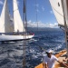CC 2022 Ajaccio mercredi 24 aout Trophée de la Ville x Regates Rose photo Thibaud Assante DR  (91)