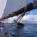 CC 2022 Ajaccio mercredi 24 aout Trophée de la Ville x Regates Rose photo Thibaud Assante DR  (107)