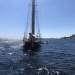CC 2022 Ajaccio mercredi 24 aout Trophée de la Ville x Regates Rose photo Thibaud Assante DR  (109)