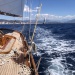 CC 2022 Ajaccio Propriano Photo Thibaud Assante DR (69)
