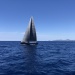 CC 2022 Ajaccio Propriano Photo Thibaud Assante DR (101)