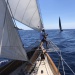 CC 2022 Ajaccio Propriano Photo Thibaud Assante DR (131)