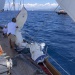 CC 2022 Ajaccio Propriano Photo Thibaud Assante DR (144)