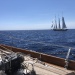 CC 2022 Ajaccio Propriano Photo Thibaud Assante DR (148)