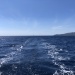 CC 2022 Ajaccio Propriano Photo Thibaud Assante DR (157)