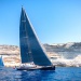 CC 2022 Bonifacio SY Mister Fips photo Gilles Perez DR
