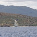 proprianobonif030910 (6)