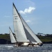 Dorade Upwind[1]